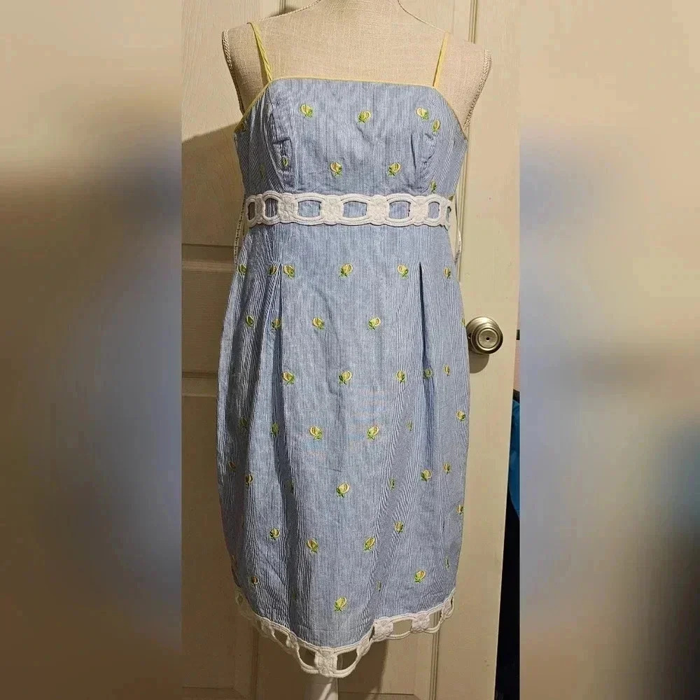 Rare htf Lilly pulitzer home slice betsey dress Size 2 Sleeveless Spaghetti
